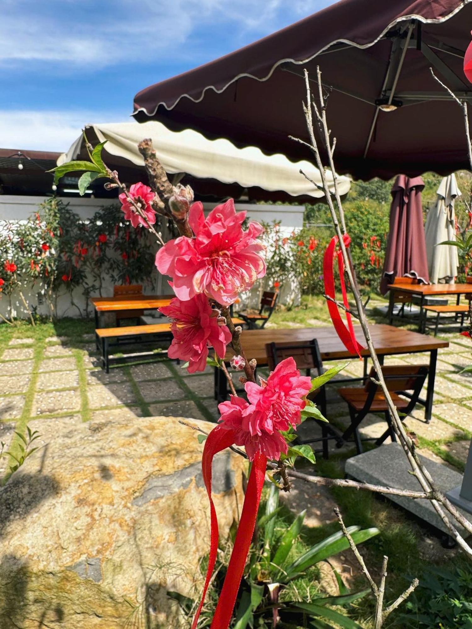 Greeneco Da Lat Hotel - Khach San Green Eco Dalat Exteriör bild